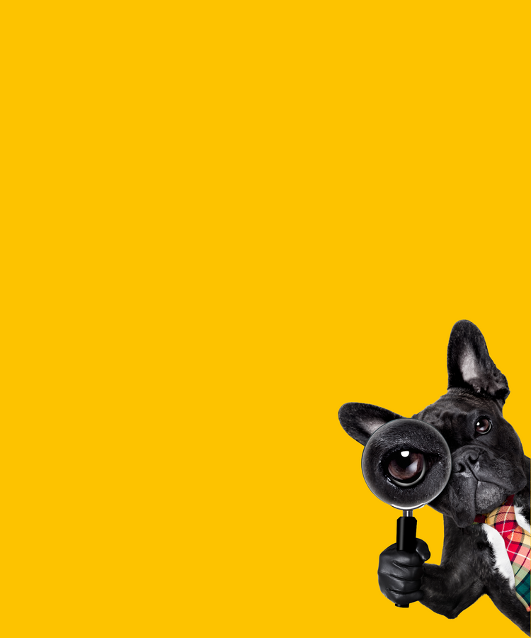 Sensitiv & Unverträglichkeit