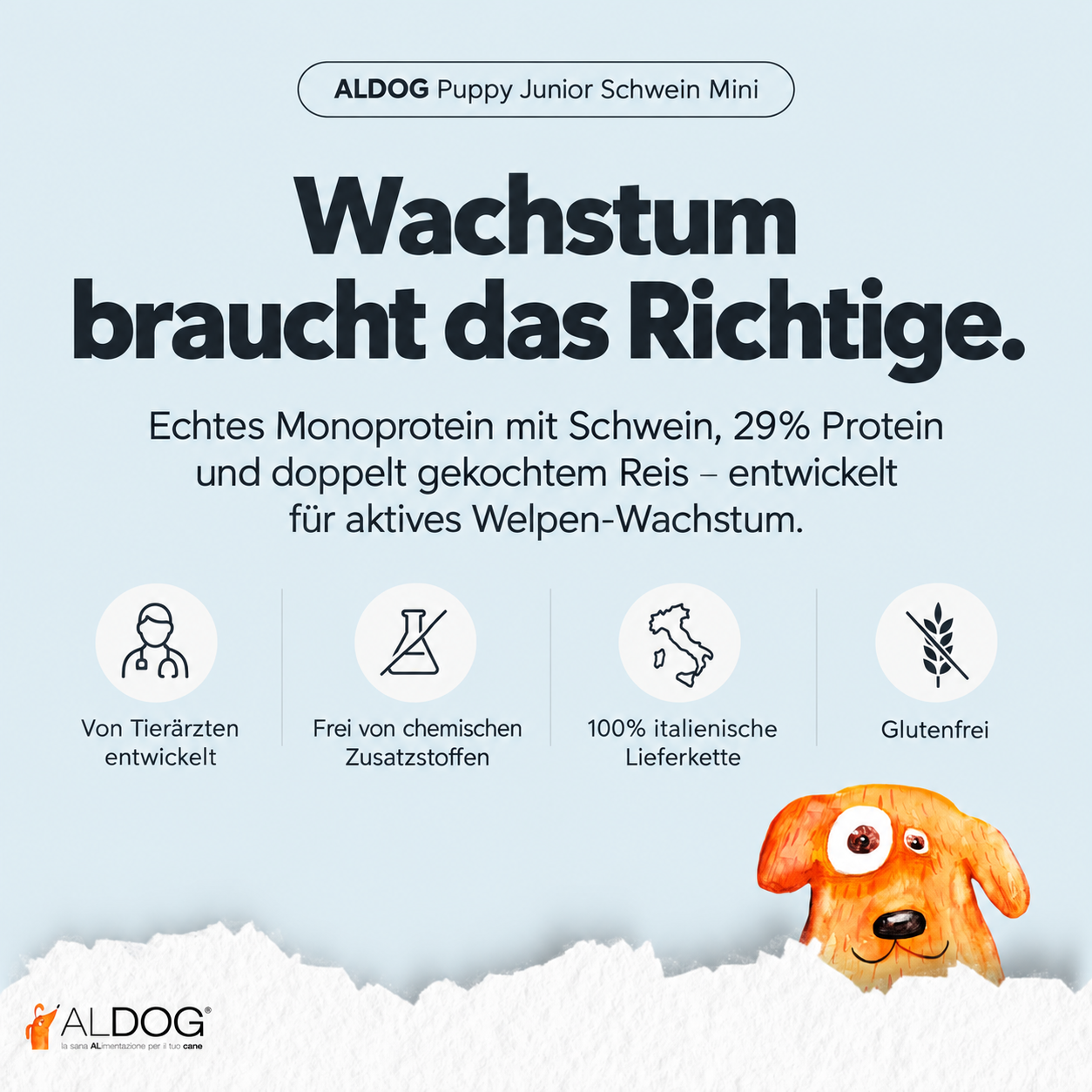 Bild-Alt-Text