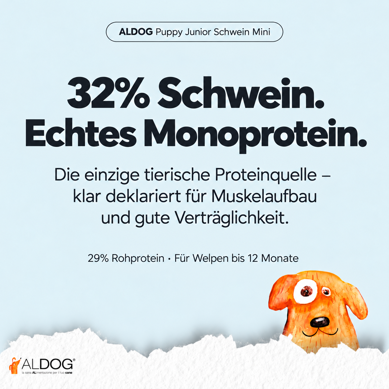 Bild-Alt-Text