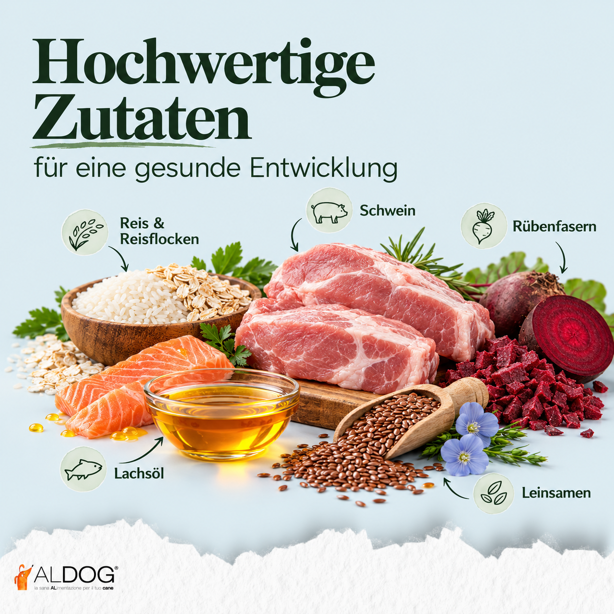 Bild-Alt-Text