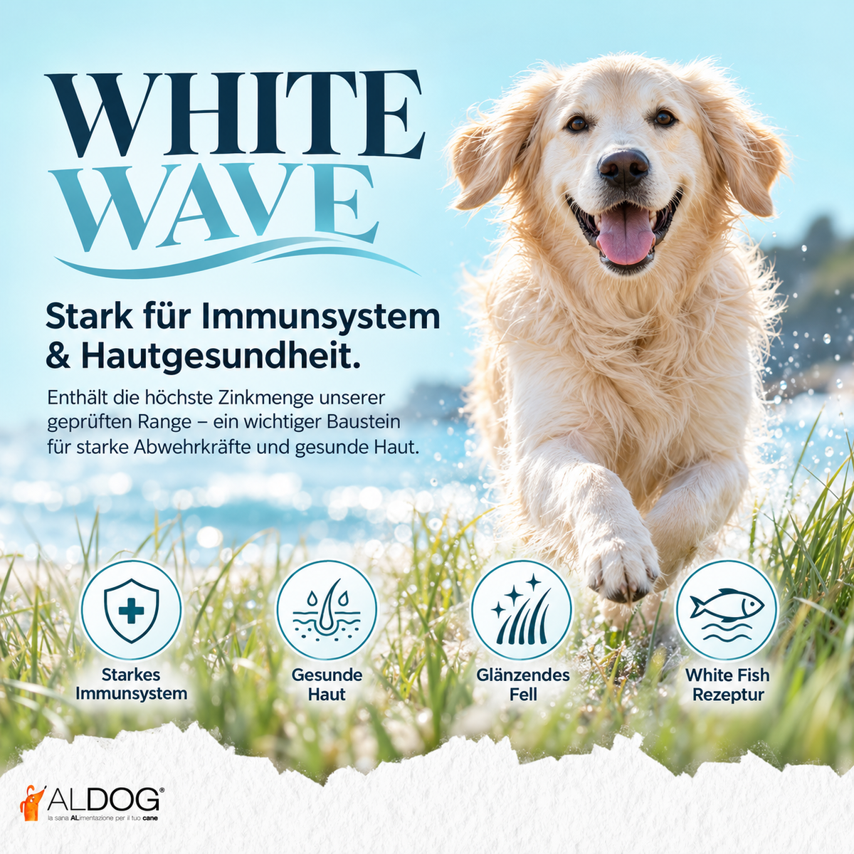 ALDOG White Wave Mini