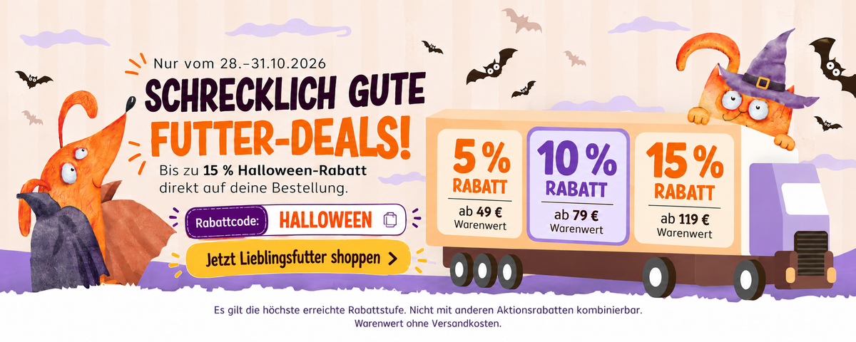Bild-Alt-Text