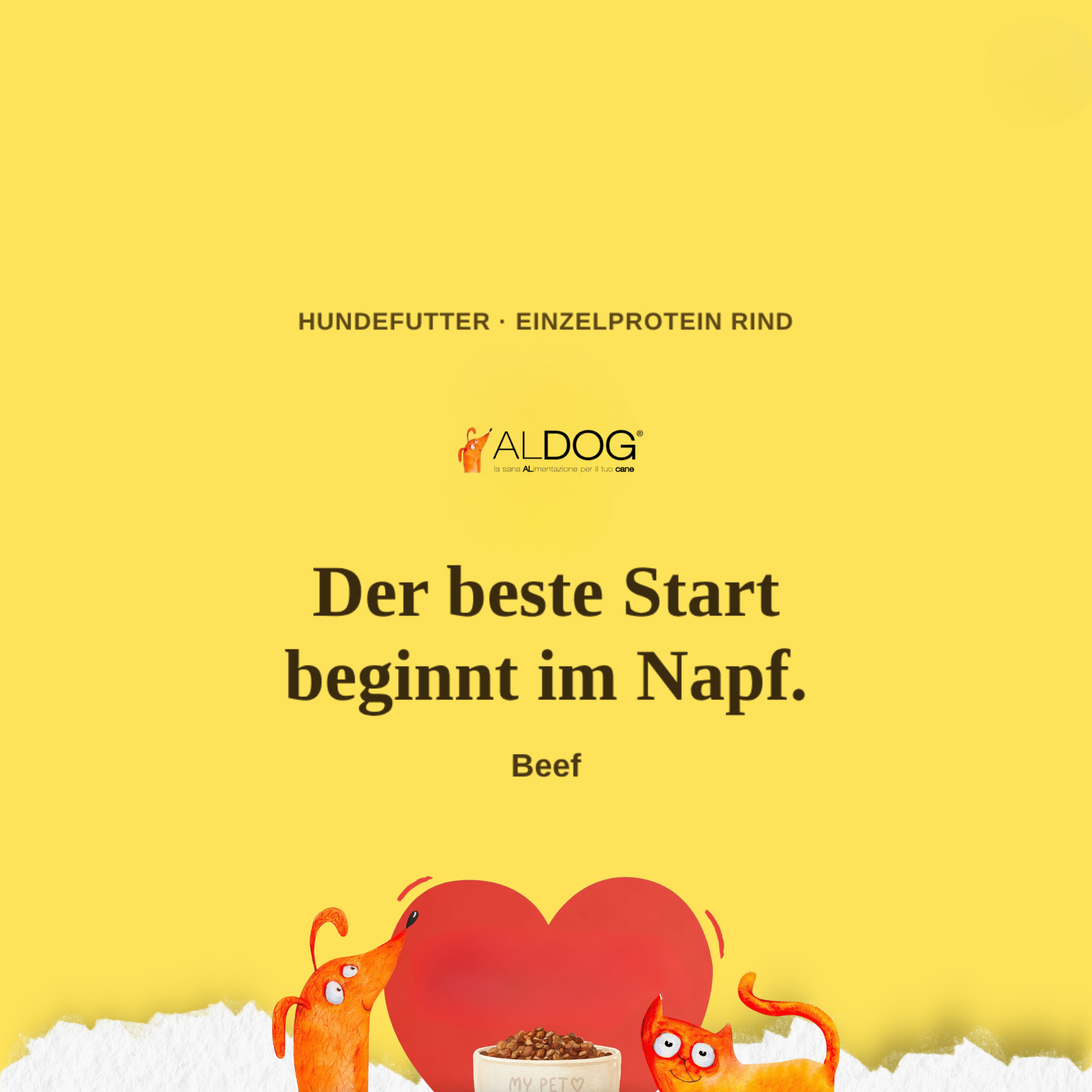 Bild-Alt-Text