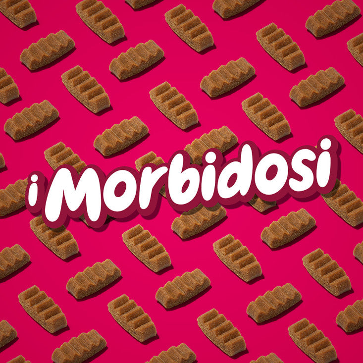 DoggyeBag I Morbidosi Lachs
